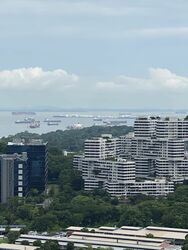 Stirling Residences (D3), Apartment #635041941